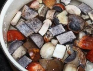 Рецепт грибной суп из подосиновиков